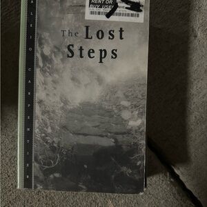 The Lost Steps Book